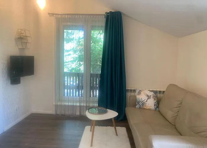 Z Tarasem * Szczecin